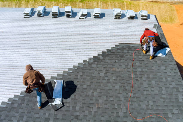 Best Roof Gutter Cleaning  in Searingtown, NY